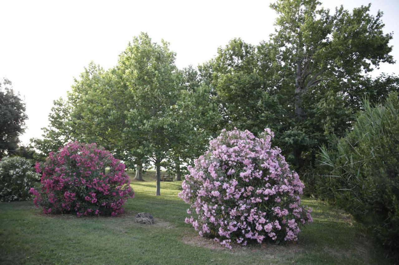 منزل الضيف بوتنزا بيسينا  في Agriturismo La Fonte Di San Girio المظهر الخارجي الصورة